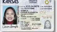 Ni VISA ni licencia de conducir: esta es la única tarjeta que debes usar para viajar en Estados Unidos en 2025