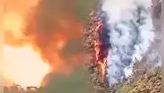Jaén en llamas: provocan ola de incendios forestales bajo excusa de práctica ancestral para 'atraer la lluvia'