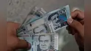 Aprende cómo invertir desde S/100 con opciones de buena rentabilidad