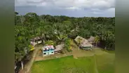 Urgen diálogos que fortalezcan la conservación de los bosques