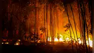 Se reportan en Ecuador al menos 12 incendios forestales en 7 provincias: “Concentraciones de partículas dañinas”
