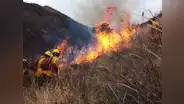 Incendios arrasan miles de hectáreas de bosques y cultivos