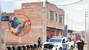 Perrito alerta a vecinos sobre el deceso de su dueño: adulto mayor muere al caer del tercer piso en Puno