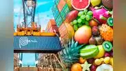 Estas son las 3 frutas ricas en vitaminas que lideran la agroexportación del Perú al mundo: superan las 100 mil toneladas