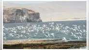 Indecopi suspende procedimiento pedido por la SNP para pescar en Reserva de Paracas