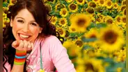 ¿Qué día se regalan flores amarillas? Conoce la fecha exacta en septiembre y cuál es su significado