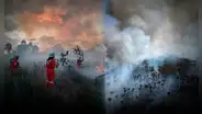 Incendios forestales en Amazonas dejan 7 muertos y arrasan con hábitat de oso andino