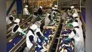 Economía registró notable rebote en julio y creció 4,47%