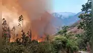 Bosques de Perú dañados por incendios forestales tardarían en restaurarse hasta 100 años