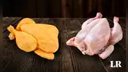 ¿Pollo amarillo o blanco?, ¿cuál es el más saludable? Esta es la principal diferencia