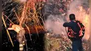 Incendios forestales en Perú, qué son y cuáles son las 5 principales causas y consecuencias
