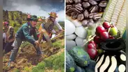 Este alimento cuesta menos de S/2 por kilo en el mercado: ¿qué beneficios tiene?