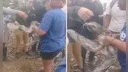 El emotivo rescate de un oso perezoso con quemaduras en un incendio forestal en San Martín