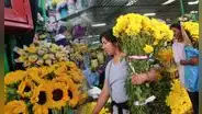 ¿Dónde comprar flores amarillas en Lima? Los 3 mercados imperdibles para el 21 de septiembre