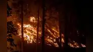 Una joyita de novela de Richard Ford: “Incendios”