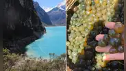 'Caviar de los incas': ¿de qué está hecho el superalimento que previene el cáncer y promueve la salud muscular?