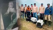 Realizan campaña a favor de animales afectados por incendios forestales: conoce cómo ayudar desde Lima