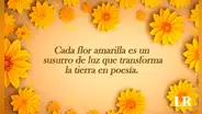 Imágenes de flores amarillas con frases para dedicar este 21 de septiembre