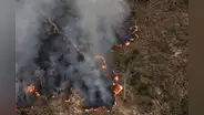 Incendios forestales dejan 20 muertos y 5.000 ha de bosques arrasadas