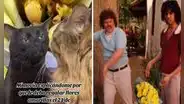 Flores amarillas: los mejores memes para celebrar el 21 de septiembre con humor
