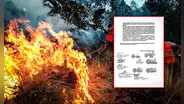 Pueblos originarios anuncian protesta por inacción ante incendios forestales: "Indolencia del Gobierno"