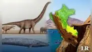 La criatura más grande y majestuosa del mundo también habita en Perú: supero en tamaño a los dinosaurios y pesa 180 toneladas