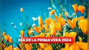 50 frases por el Día de la Primavera en Perú para compartir por Instagram, Facebook y WhatsApp HOY, 23 de septiembre