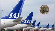 Vuelo a Málaga aterriza de emergencia por presencia de un ratón en la comida de una pasajera
