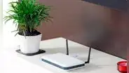 ¿Por qué no debes colocar una planta cerca al router? Tienes que separarlos ahora mismo