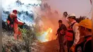 Bono para afectados de los incendios forestales en todo el Perú 2024: ¿cómo saber si soy beneficiario?