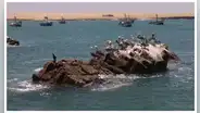 SNP insiste en pescar en zona prohibida de la Reserva Nacional de Paracas