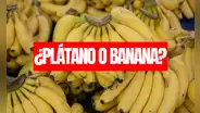 Ni plátano, ni banana: esta fruta es nombrada de otra manera en más de un país de Sudamérica
