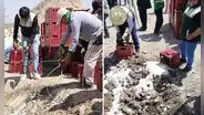 Cientos de botellas de cerveza son desechadas en Arequipa y usuarios quedan en shock