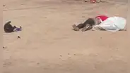 En pleno estado de emergencia: asesinan a repartidor de delivery en Puente Piedra mientras hacía entrega de producto