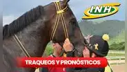 Traqueos y pronósticos 5y6 La Rinconada, HOY: conoce los datos de Gaceta Hípica, Cordialito y Fusión Hípica
