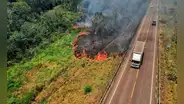 Incendio forestal en Madre de Dios arrasa 30 hectáreas y avanza hacia Cusco dejando animales silvestres muertos