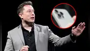 ¿Cuál es el smartphone de alta gama que utiliza Elon Musk y cuánto cuesta?: No es Android ni Apple