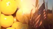 La 'fruta de oro' que tiene colágeno y mantiene la piel sin arrugas: es muy consumida en México y Estados Unidos