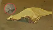 Chorrillos: hombre es asesinado a balazos tras ser bajado de una mototaxi