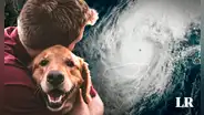 Lista de refugios que aceptan mascotas en Florida ante llegada del huracán Milton: zonas de evacuación AQUÍ