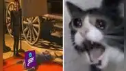 Yape se cayó otra vez y usuarios reaccionan con los más divertidos memes: “¿También está en paro?"