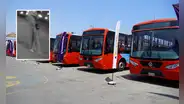 Extorsionadores dejan arreglo fúnebre en casa de exdirectivo de transporte El Rápido y piden S/25.000