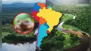 El país de SUDAMÉRICA donde descubrieron un PODEROSO ANIMAL de la Amazonía: está en extinción y tiene 2 tubérculos en los párpados