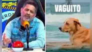Peruanos que asistieron a ver 'Vaguito' para apoyar a albergues explotan contra producción de la película