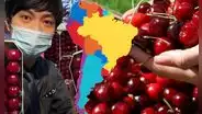 La potencia de Sudamérica que domina la exportación de cerezas a China: vende más de 377.000 toneladas y son consideradas de lujo