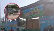 Chimbote: avestruz atacó a picotazos a trabajador de granja cuando realizaba limpieza