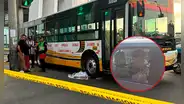 Accidente frente a San Marcos: madre de familia muere arrollada tras recoger constancia de ingreso con su hija a UNMSM