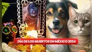 Día de Muertos de mascotas 2024: ¿cuándo visitan los altares los gatos y perros fallecidos?