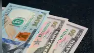 Salario mínimo en Florida: a este monto se elevará el pago a trabajadores a partir del próximo año