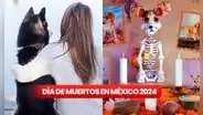 Ofrendas para mascotas en el Día de Muertos 2024: ¿cuándo y cómo poner un altar a los animales fallecidos?